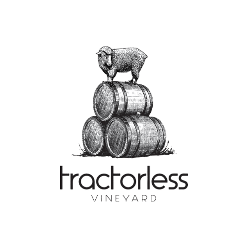 Beer, Food & Wine Festival 2025 29 Tractorless